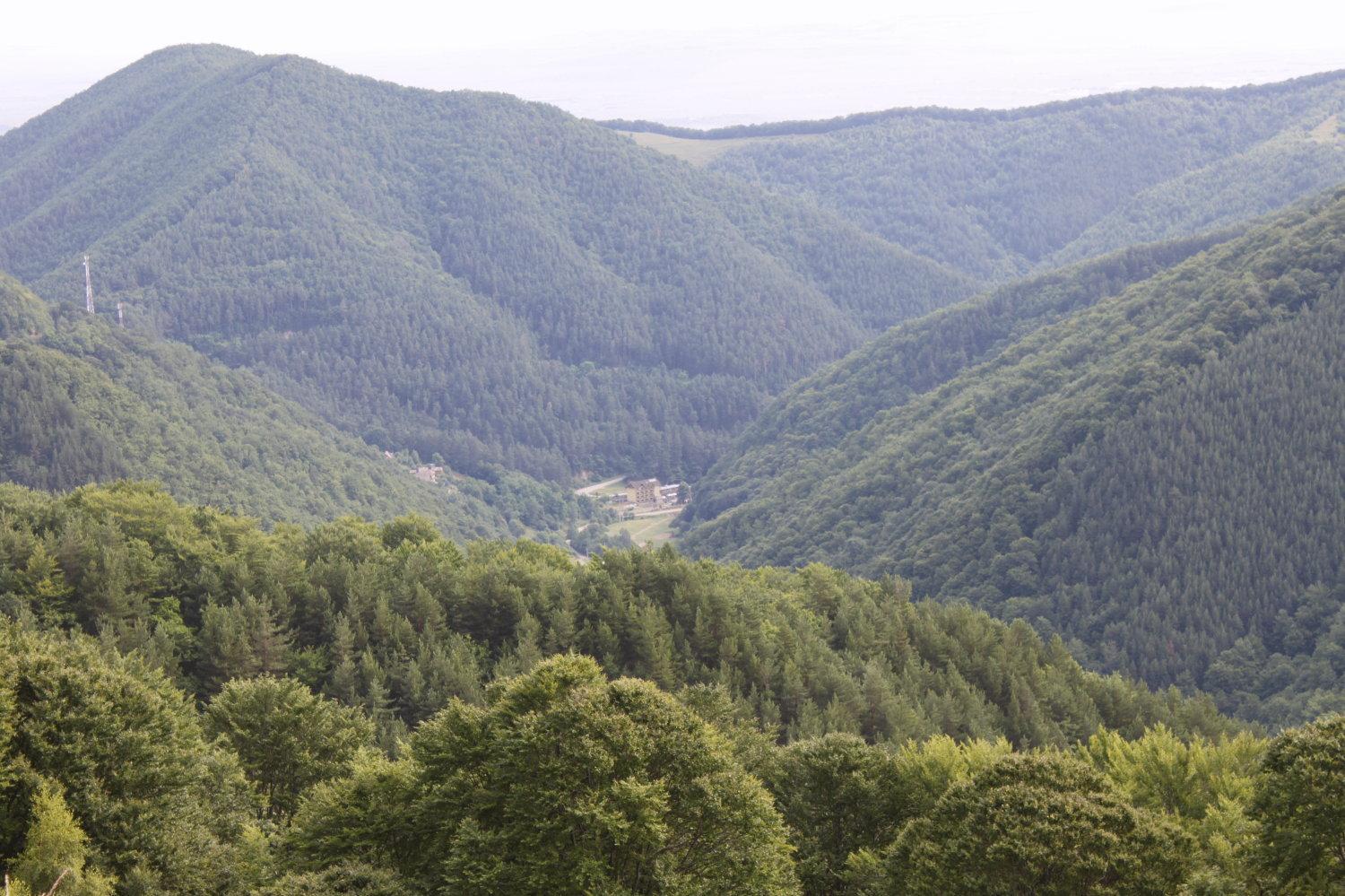 Pension Curmatura Stezii Răşinari Buitenkant foto