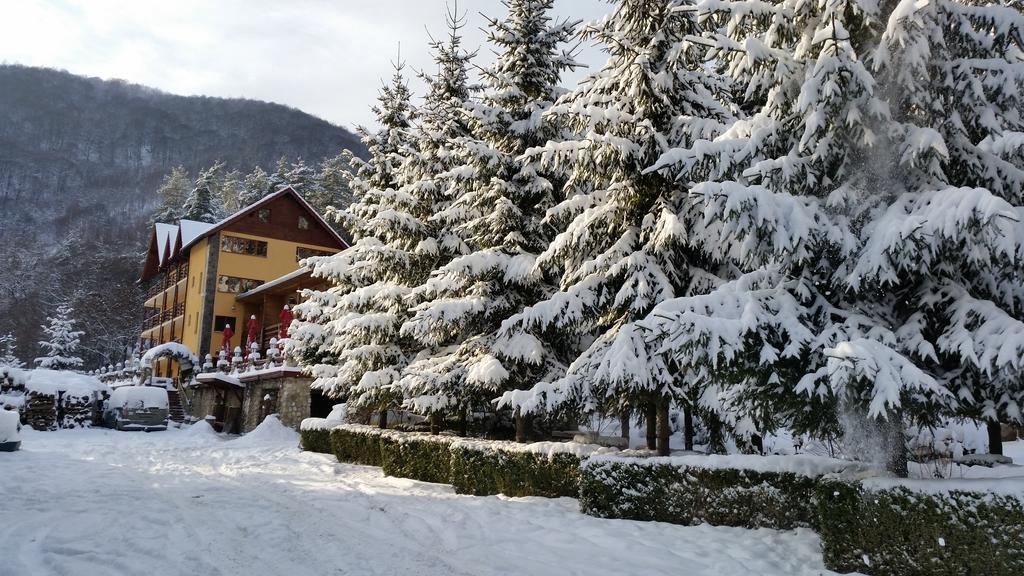 Pension Curmatura Stezii Răşinari Buitenkant foto