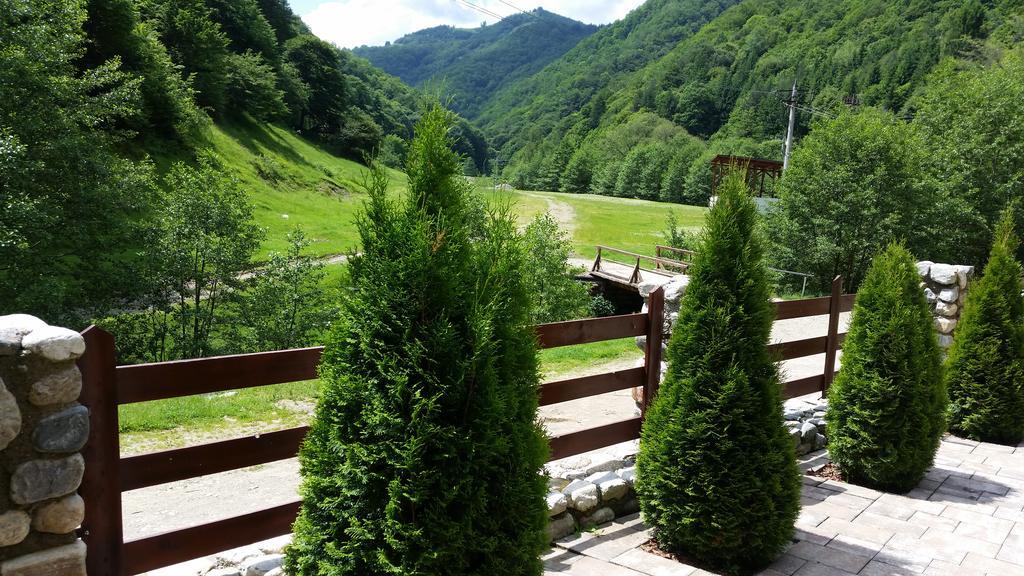 Pension Curmatura Stezii Răşinari Buitenkant foto
